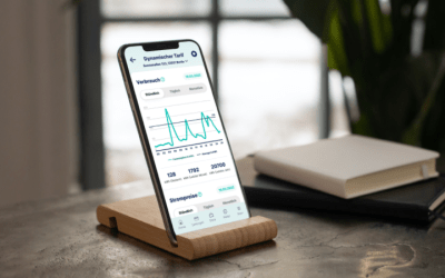 Ostrom Erfahrungsbericht